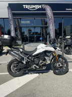 TRIUMPH TIGER 900 RALLY PRO