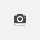 TRIUMPH Tiger 900 GT PRO